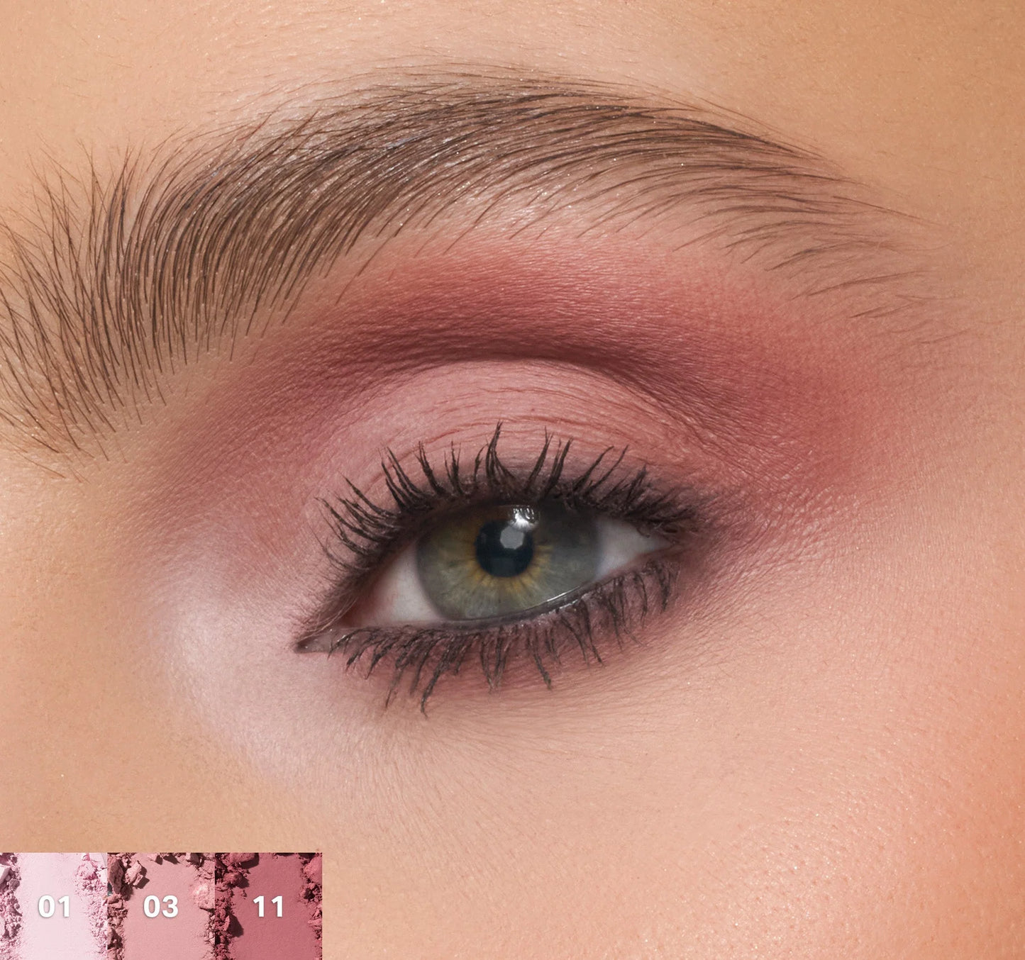 Chromaplus 12-pan Eyeshadow Palette Rose Frequency / Morphe