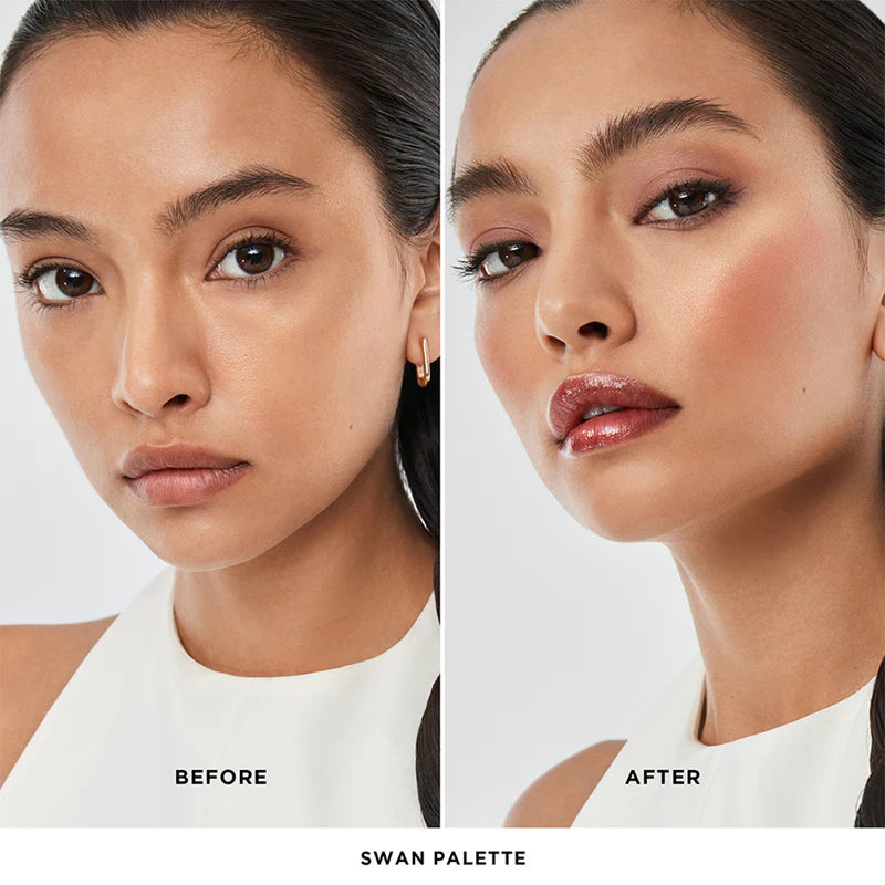 Ambient Lighting Edit Unlocked Palette Swan / Hourglass