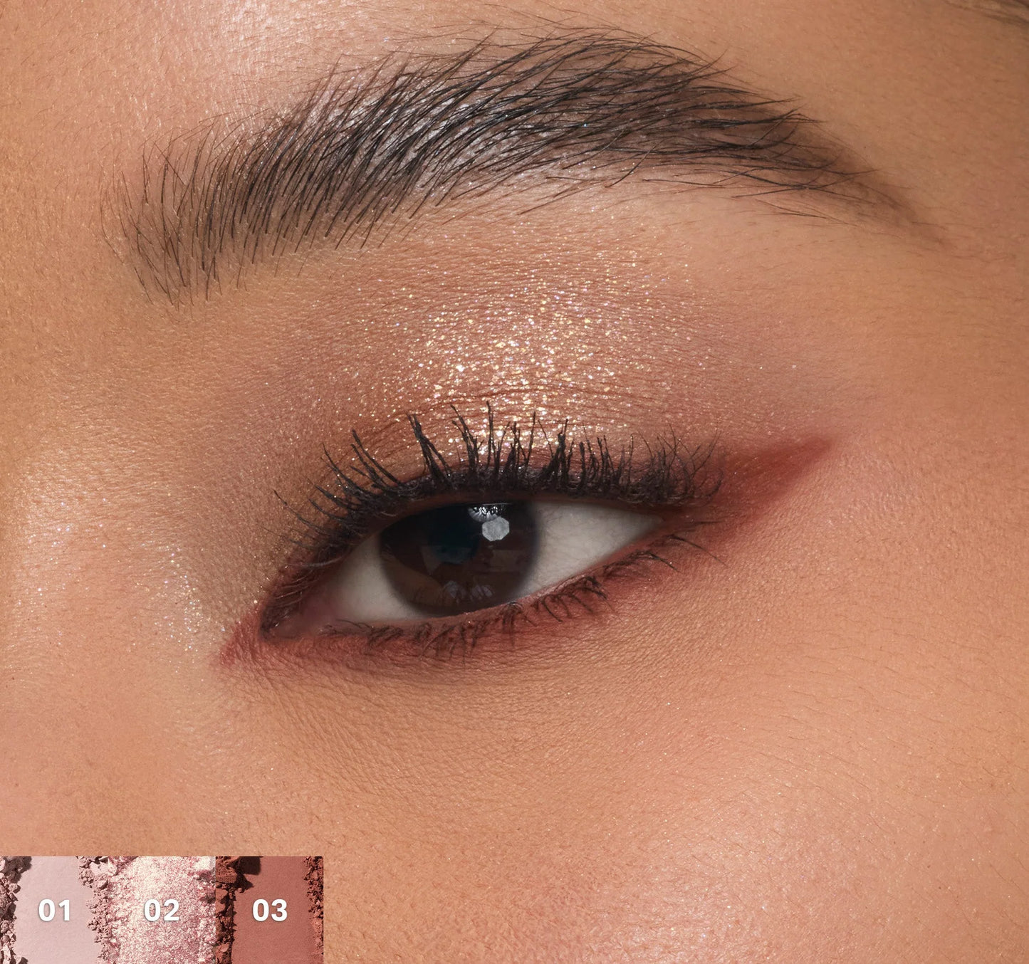 Chromaplus 6-pan Eyeshadow Palette Outer Spice / Morphe