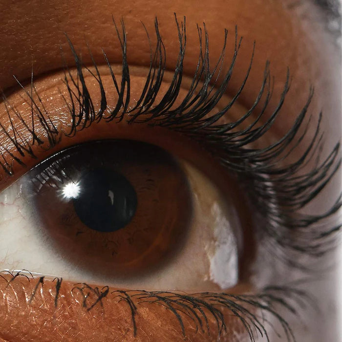 Lash Sculpt Lengthen and Lift Mascara / REFY