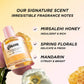 Mini Wildflower Honey Infused Hair Perfume / Gisou