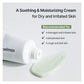 Crema Facial The Real Noni Energy Repair Cream / Celimax
